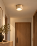 Shizuku Ceiling Light