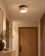 Shizuku Ceiling Light