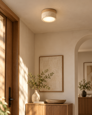 Shizuku Ceiling Light