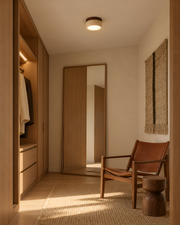 Shizuku Ceiling Light