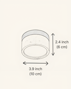Shizuku Ceiling Light