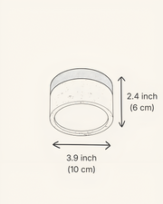 Shizuku Ceiling Light