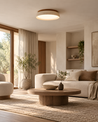 Taira Ceiling Light