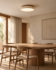 Taira Ceiling Light