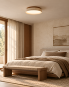Taira Ceiling Light